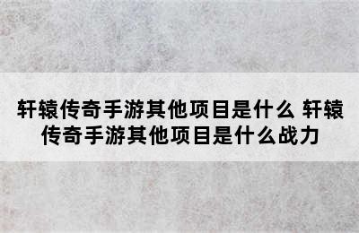 轩辕传奇手游其他项目是什么 轩辕传奇手游其他项目是什么战力